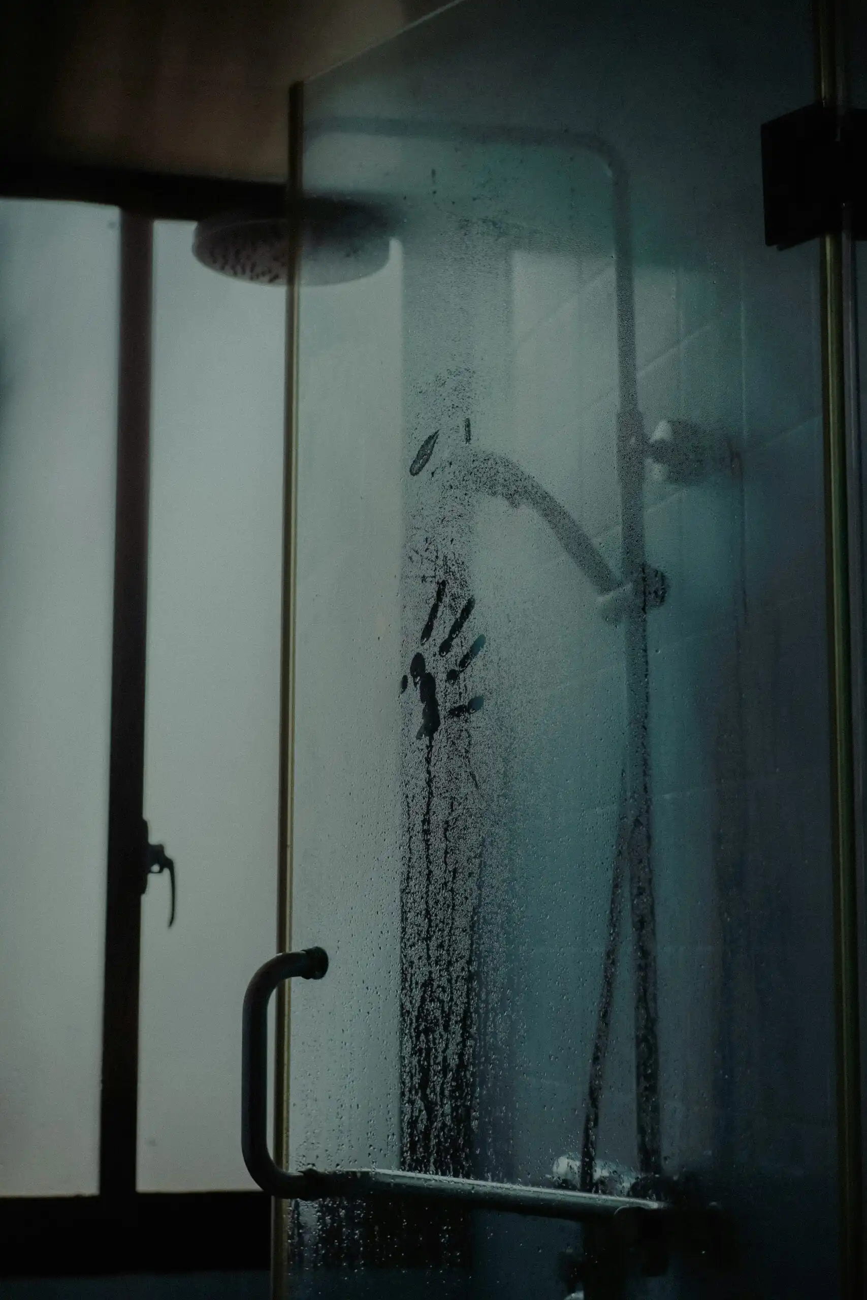 white and blue shower curtain
